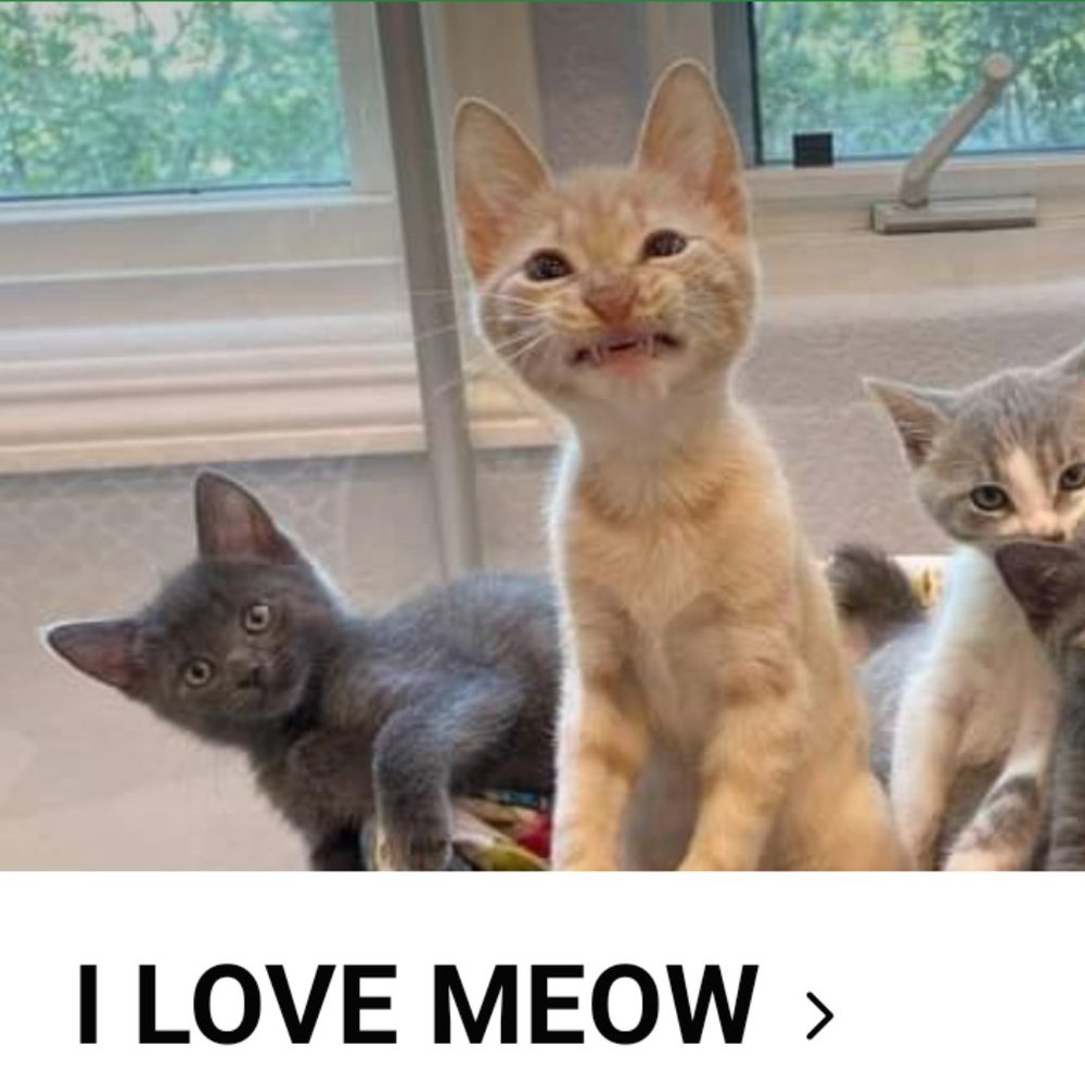 LOOK GREAT FOR LESS! MAKE OFFERS!